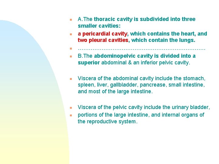 n n n n A. The thoracic cavity is subdivided into three smaller cavities: