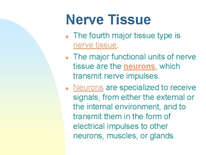 Nerve Tissue n n n The fourth major tissue type is nerve tissue. The