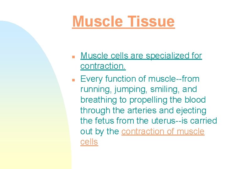Muscle Tissue n n Muscle cells are specialized for contraction. Every function of muscle--from