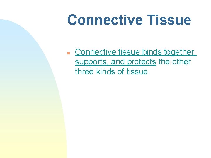 Connective Tissue n Connective tissue binds together, supports, and protects the other three kinds