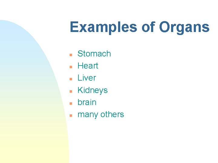 Examples of Organs n n n Stomach Heart Liver Kidneys brain many others 