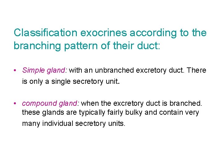 Classification exocrines according to the branching pattern of their duct: • Simple gland: with