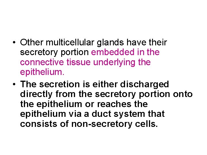  • Other multicellular glands have their secretory portion embedded in the connective tissue