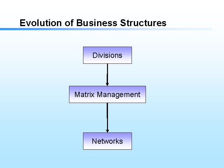 Evolution of Business Structures Divisions Matrix Management Networks 