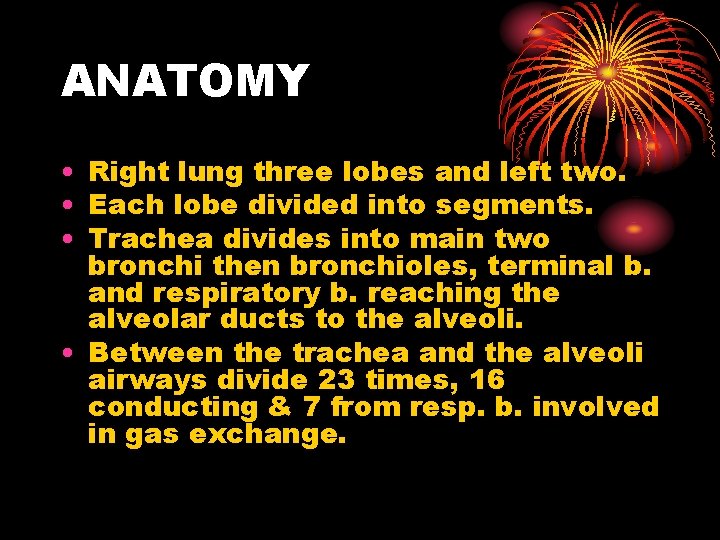 ANATOMY • Right lung three lobes and left two. • Each lobe divided into