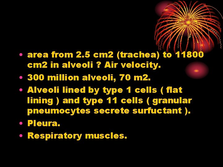  • area from 2. 5 cm 2 (trachea) to 11800 cm 2 in