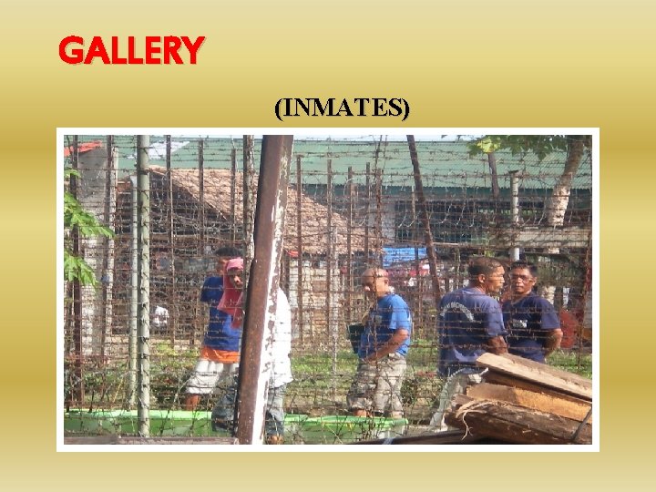 GALLERY (INMATES) 