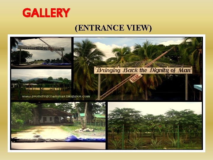 GALLERY (ENTRANCE VIEW) 