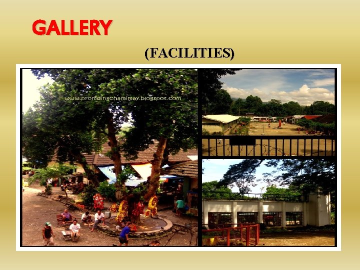 GALLERY (FACILITIES) 