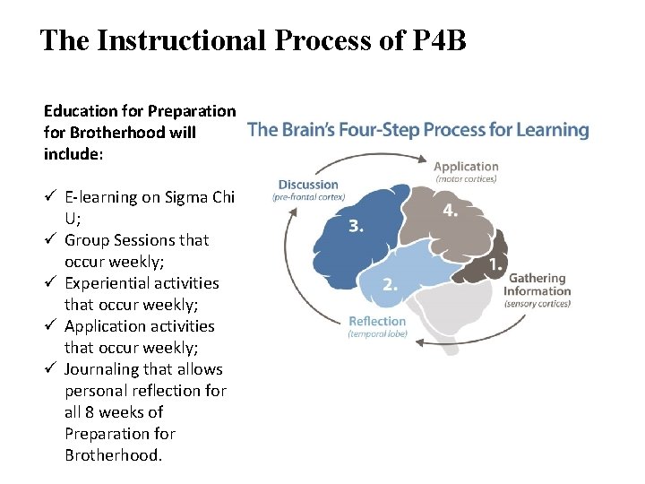 The Instructional Process of P 4 B Education for Preparation for Brotherhood will include: