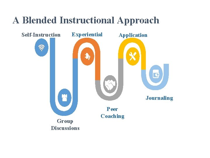 A Blended Instructional Approach Self-Instruction Experiential Application Journaling Group Discussions Peer Coaching 