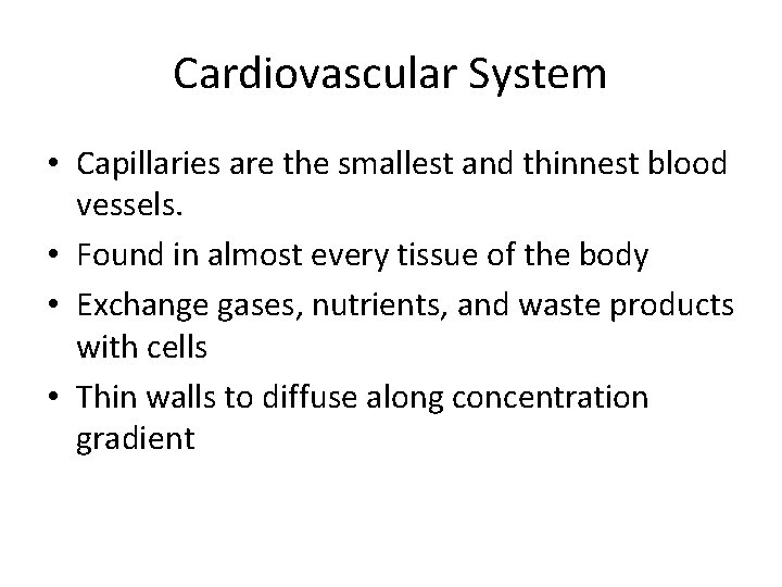 Cardiovascular System • Capillaries are the smallest and thinnest blood vessels. • Found in