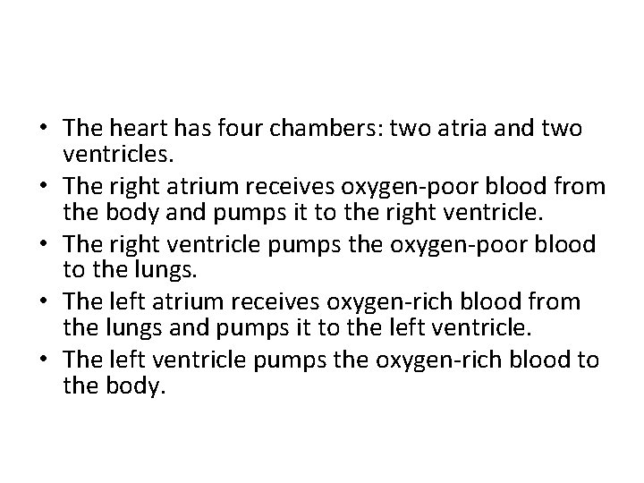  • The heart has four chambers: two atria and two ventricles. • The