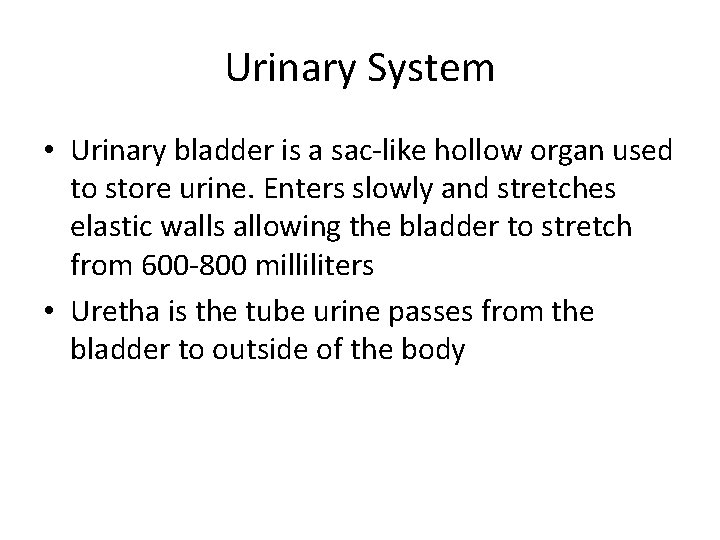 Urinary System • Urinary bladder is a sac-like hollow organ used to store urine.