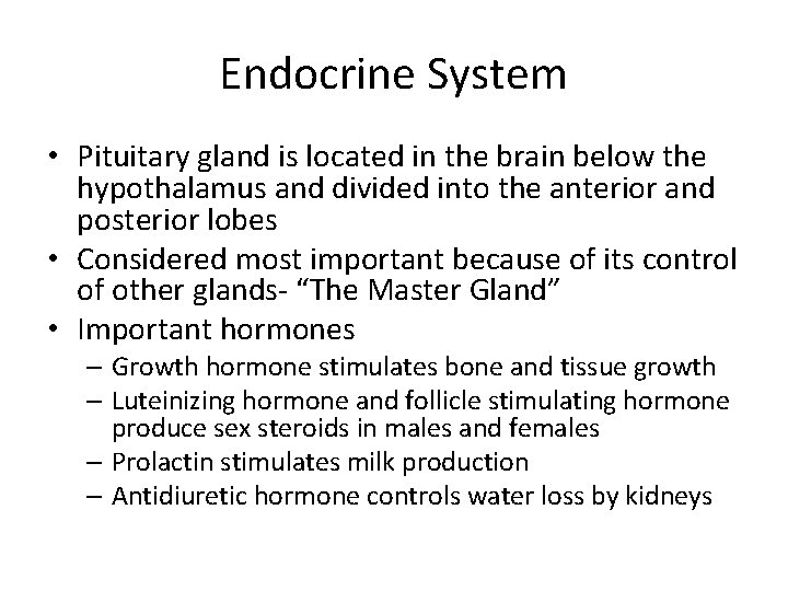 Endocrine System • Pituitary gland is located in the brain below the hypothalamus and