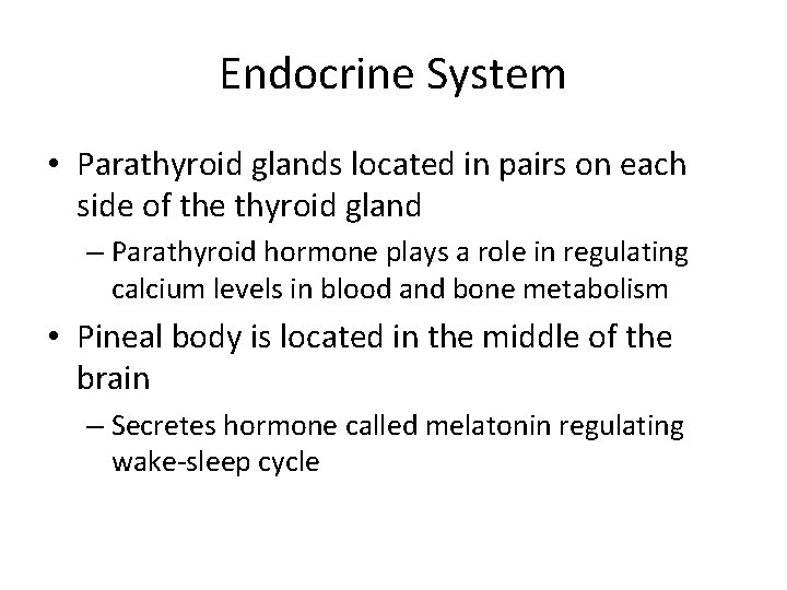 Endocrine System • Parathyroid glands located in pairs on each side of the thyroid