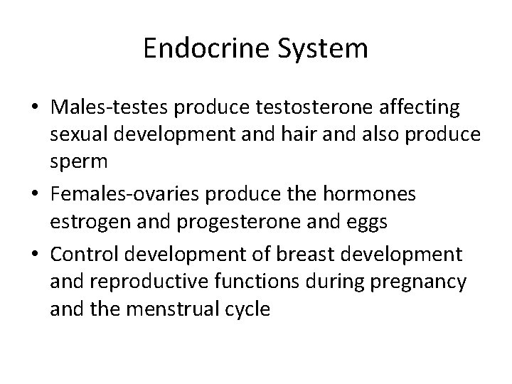 Endocrine System • Males-testes produce testosterone affecting sexual development and hair and also produce