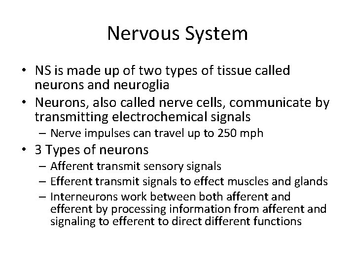 Nervous System • NS is made up of two types of tissue called neurons