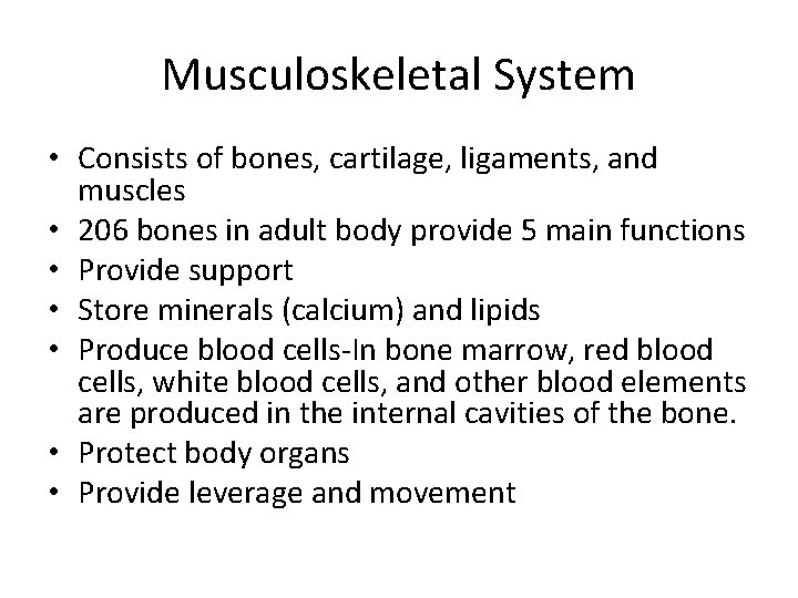 Musculoskeletal System • Consists of bones, cartilage, ligaments, and muscles • 206 bones in