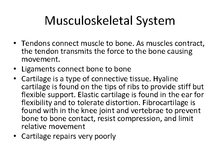 Musculoskeletal System • Tendons connect muscle to bone. As muscles contract, the tendon transmits