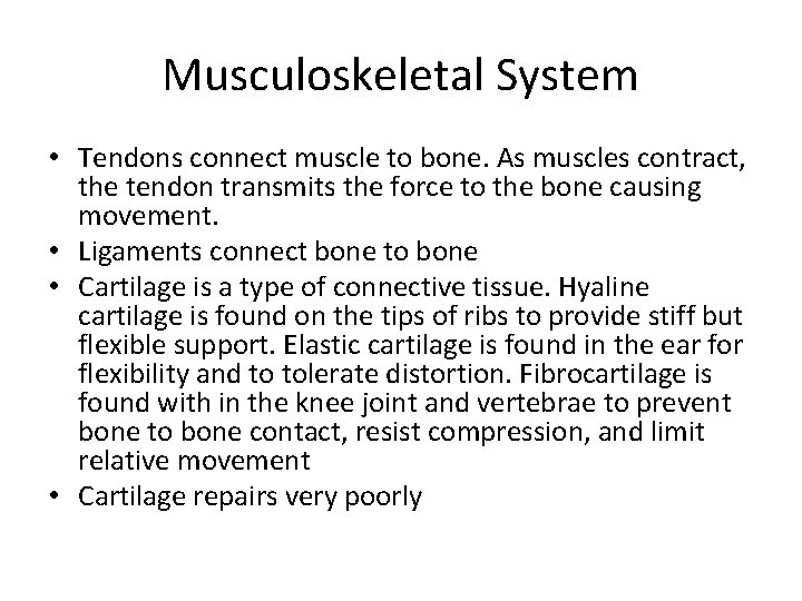 Musculoskeletal System • Tendons connect muscle to bone. As muscles contract, the tendon transmits
