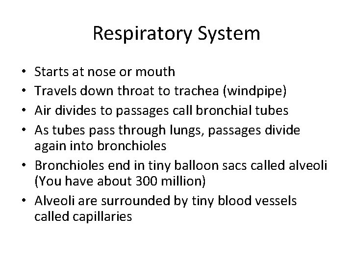 Respiratory System Starts at nose or mouth Travels down throat to trachea (windpipe) Air