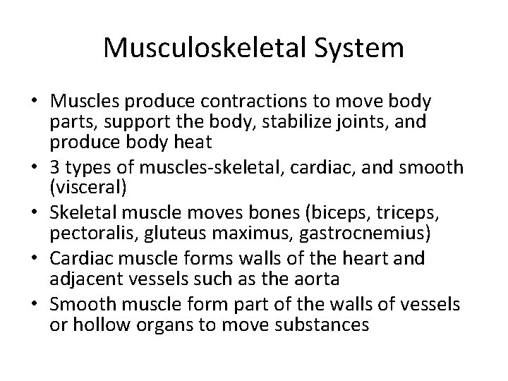 Musculoskeletal System • Muscles produce contractions to move body parts, support the body, stabilize