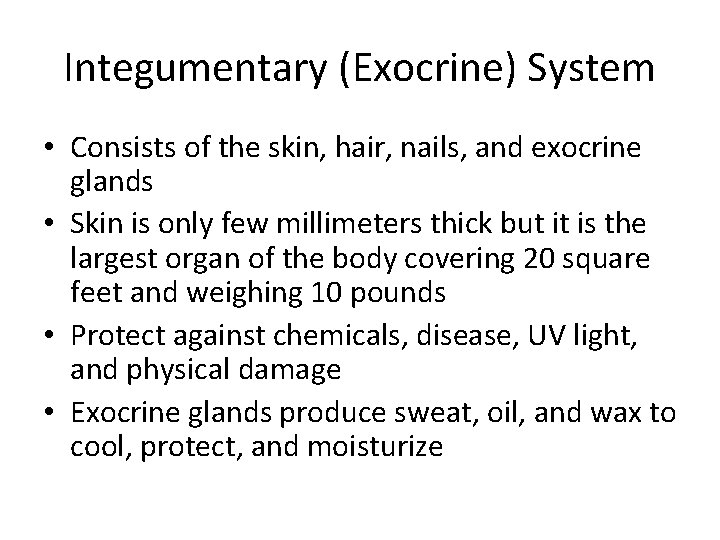 Integumentary (Exocrine) System • Consists of the skin, hair, nails, and exocrine glands •