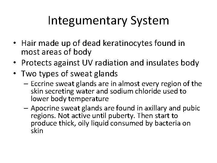 Integumentary System • Hair made up of dead keratinocytes found in most areas of