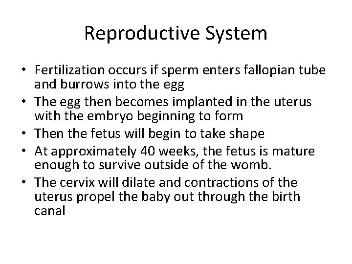 Reproductive System • Fertilization occurs if sperm enters fallopian tube and burrows into the