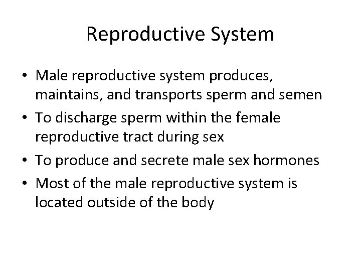 Reproductive System • Male reproductive system produces, maintains, and transports sperm and semen •