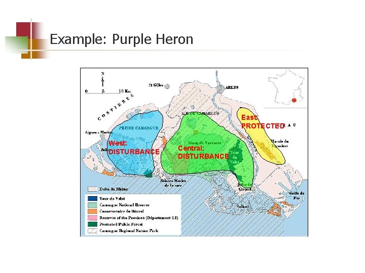 Example: Purple Heron East: PROTECTED West: DISTURBANCE Central: DISTURBANCE 