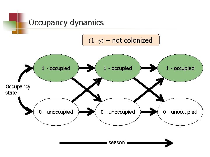 Occupancy dynamics (1 - ) e(1 -e) – –local –colonization –not extinction colonized extinct