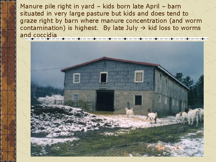 Manure pile right in yard – kids born late April – barn situated in