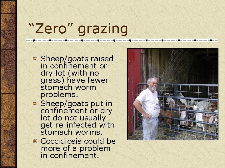 “Zero” grazing Sheep/goats raised in confinement or dry lot (with no grass) have fewer