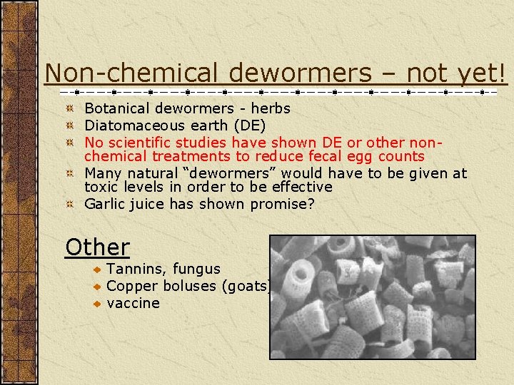 Non-chemical dewormers – not yet! Botanical dewormers - herbs Diatomaceous earth (DE) No scientific