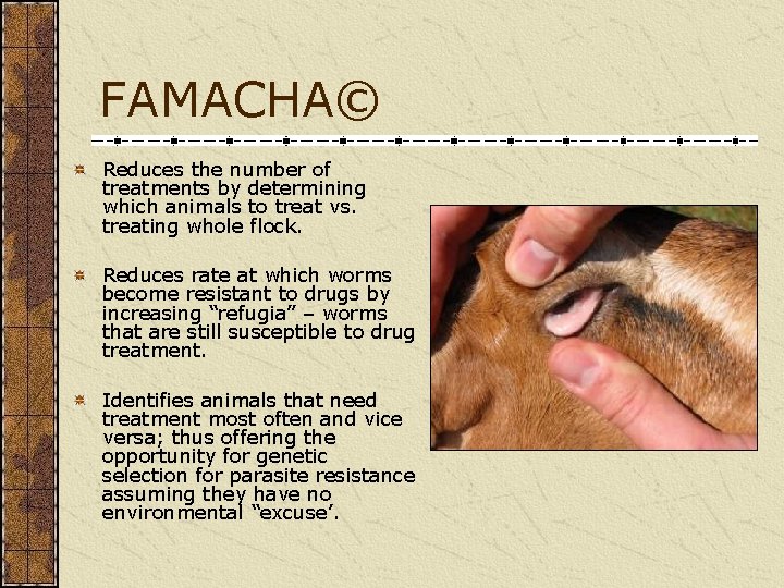 FAMACHA© Reduces the number of treatments by determining which animals to treat vs. treating