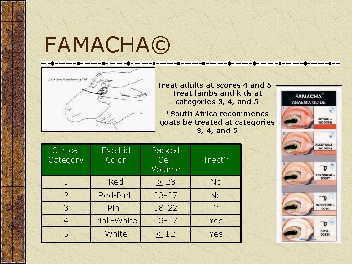 FAMACHA© Treat adults at scores 4 and 5* Treat lambs and kids at categories