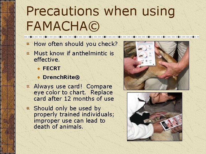 Precautions when using FAMACHA© How often should you check? Must know if anthelmintic is