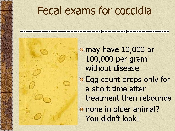 Fecal exams for coccidia may have 10, 000 or 100, 000 per gram without