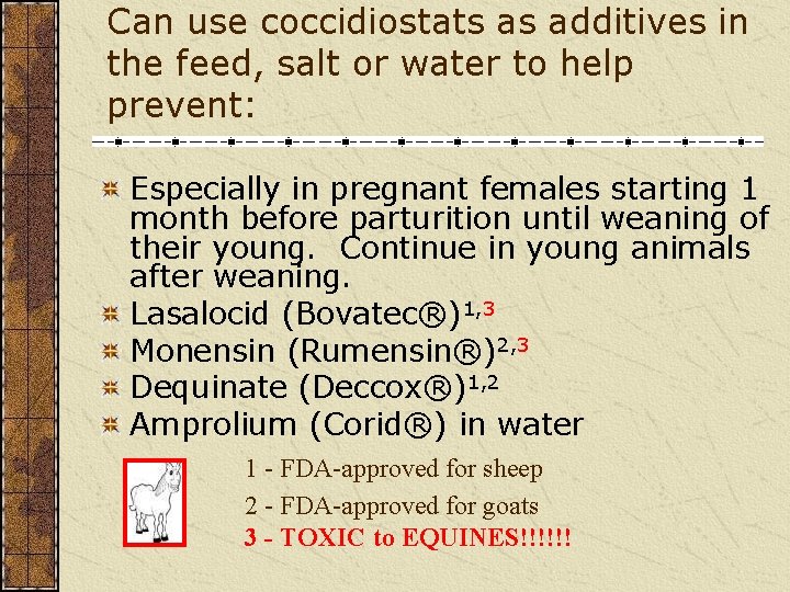 Can use coccidiostats as additives in the feed, salt or water to help prevent: