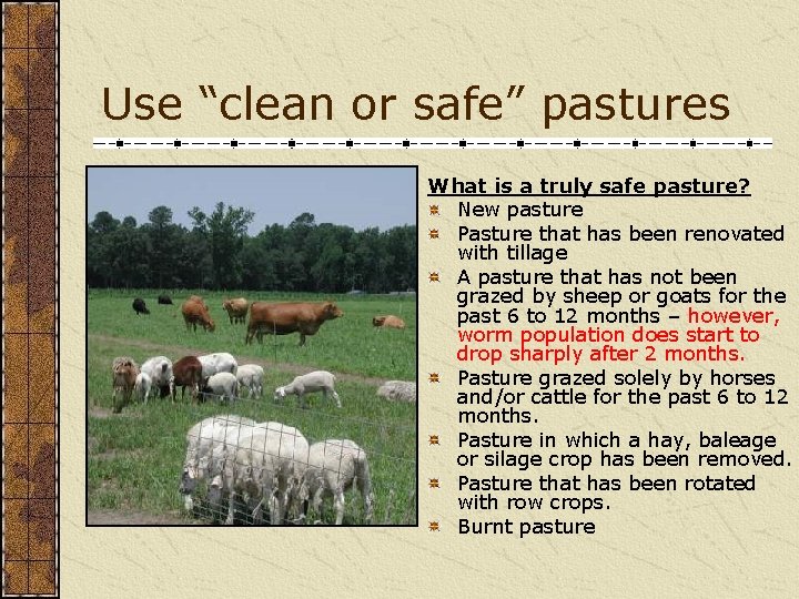 Use “clean or safe” pastures What is a truly safe pasture? New pasture Pasture