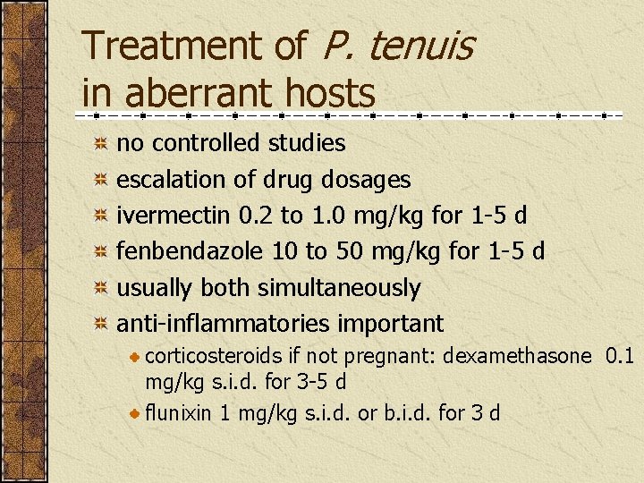 Treatment of P. tenuis in aberrant hosts no controlled studies escalation of drug dosages