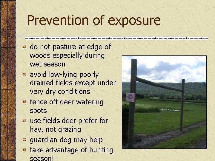 Prevention of exposure do not pasture at edge of woods especially during wet season