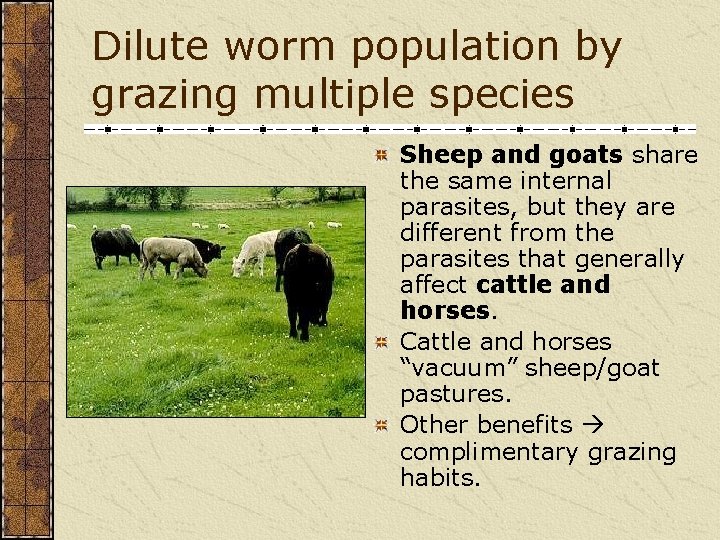 Dilute worm population by grazing multiple species Sheep and goats share the same internal