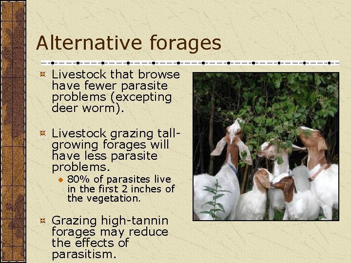 Alternative forages Livestock that browse have fewer parasite problems (excepting deer worm). Livestock grazing