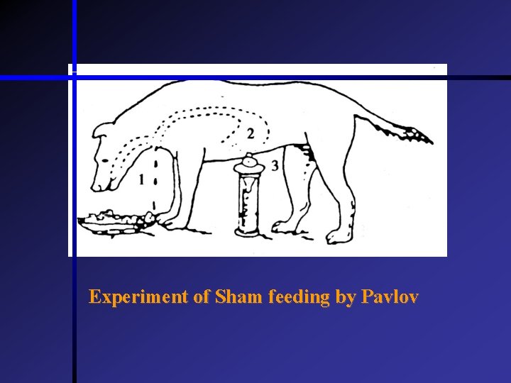 Experiment of Sham feeding by Pavlov  Experiment of Sham feeding by Pavlov