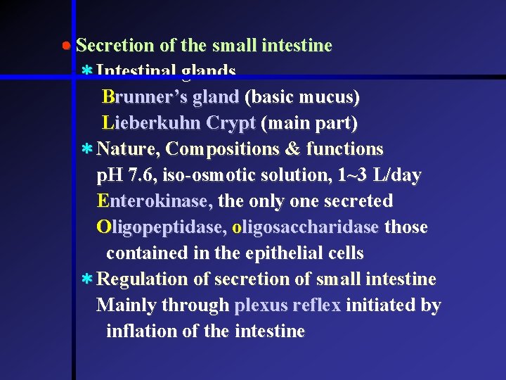 Secretion of the small intestine * Intestinal glands Brunner’s gland (basic mucus) Lieberkuhn  Secretion of the small intestine * Intestinal glands Brunner’s gland (basic mucus) Lieberkuhn
