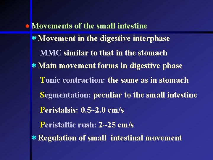 Movements of the small intestine * Movement in the digestive interphase MMC similar  Movements of the small intestine * Movement in the digestive interphase MMC similar