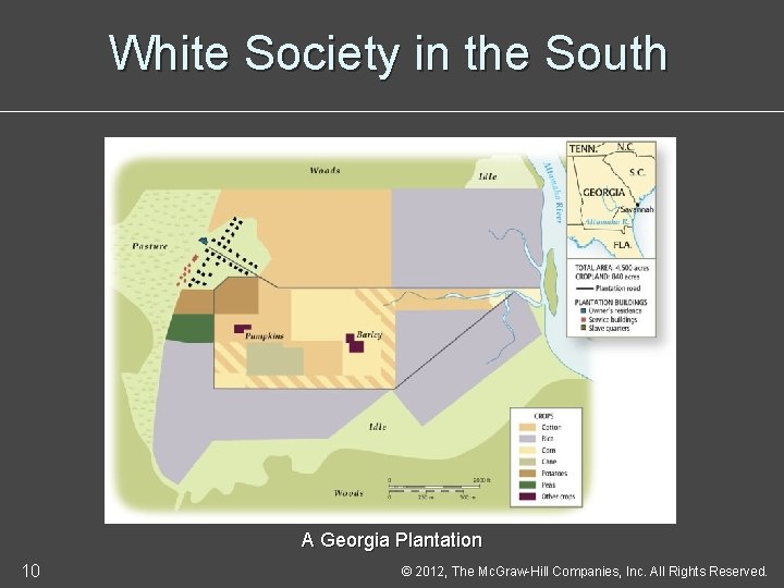 White Society in the South A Georgia Plantation 10 © 2012, The Mc. Graw-Hill